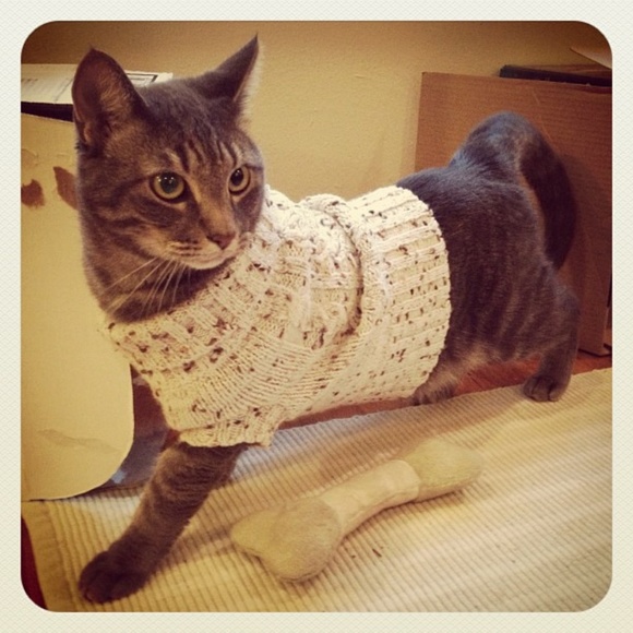Cute Clothes that support Cute Cats! - Picture 2 of 8